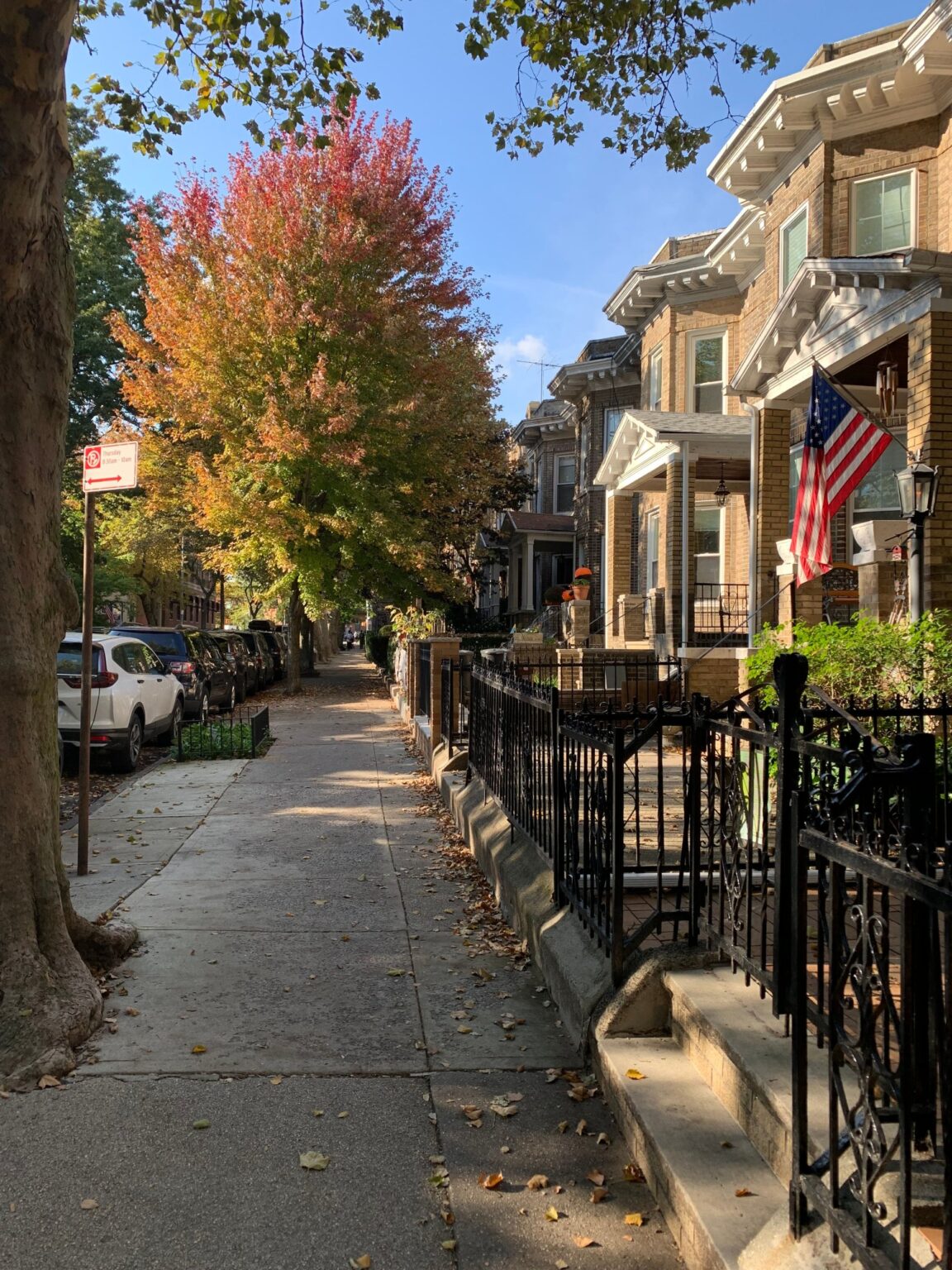 Tree-lined residential block of brick homes in New York City